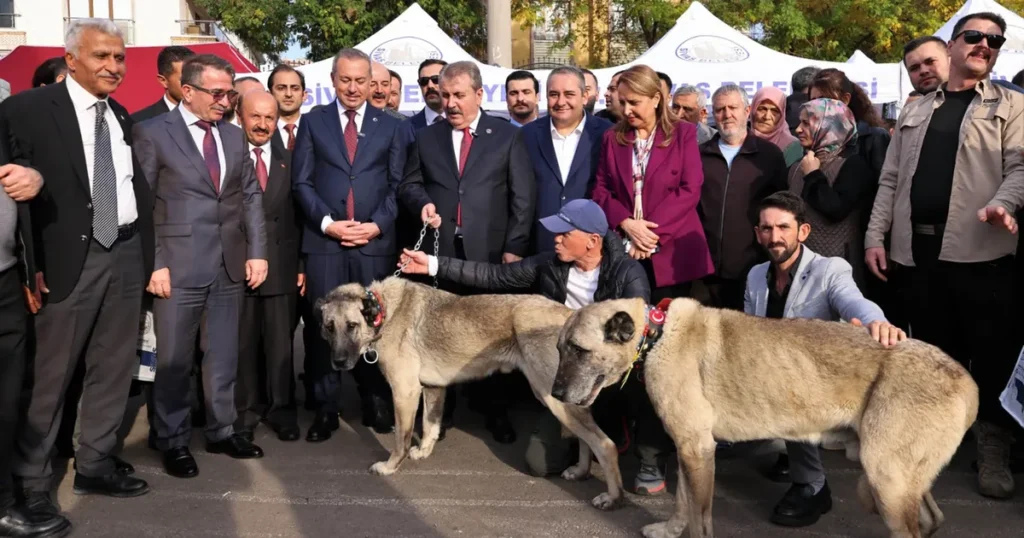 ankara keciorende sivas gunleri coskusu 3w6hgOU8.webp