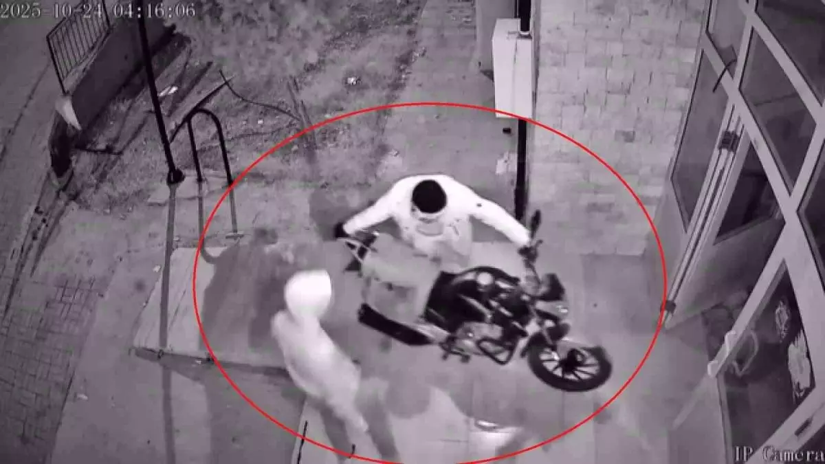 hatayda motosiklet hirsizligi kamerada XOBQmhMZ.jpg