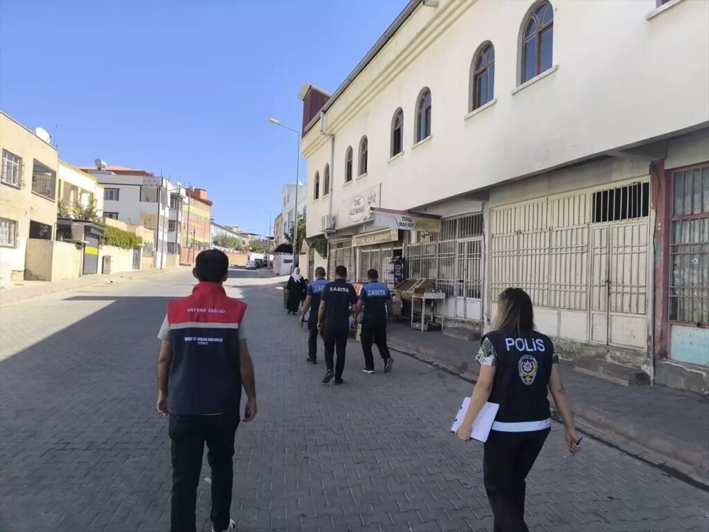 siirtte okul cevrelerinde denetim jGhrKUiw