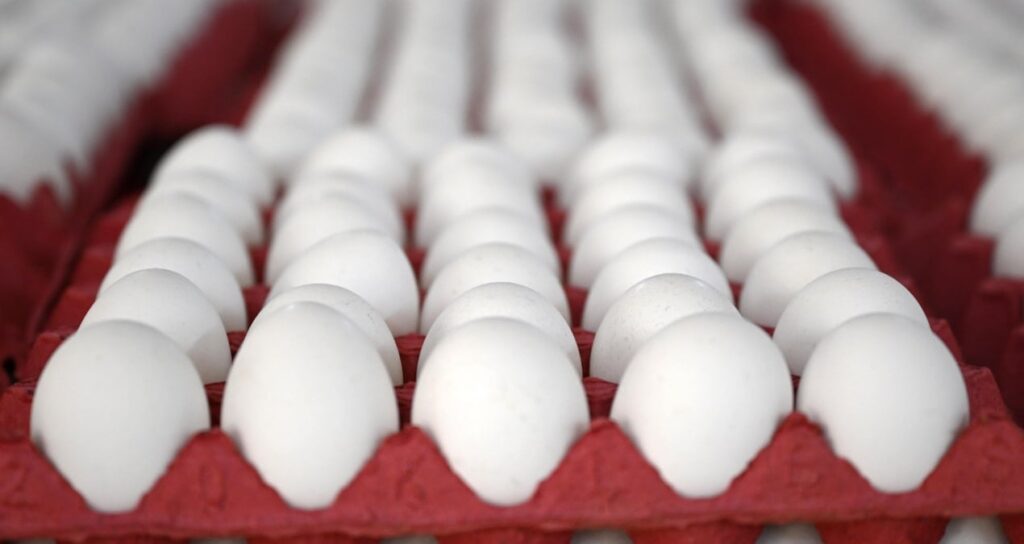 yumurtaya zam gelecek mi en yetkili isim acikladi F625iDbL.jpg