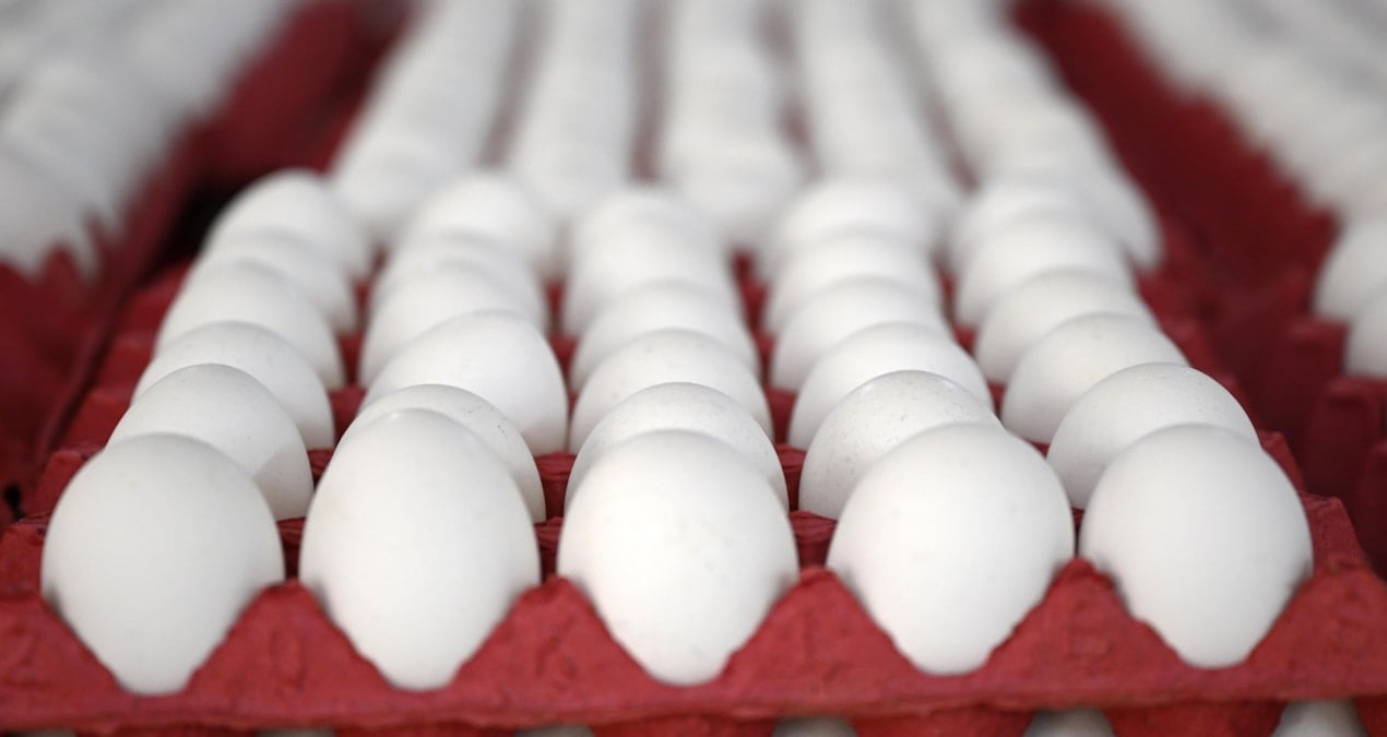 yumurtaya zam gelecek mi en yetkili isim acikladi F625iDbL.jpg