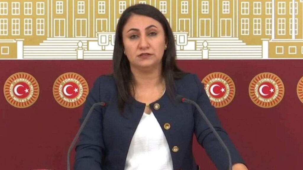 DEM Partili Oduncu Kutevi’nden Meclis’te basın toplantısı: Kayyım rejimine derhal son verilmeli
