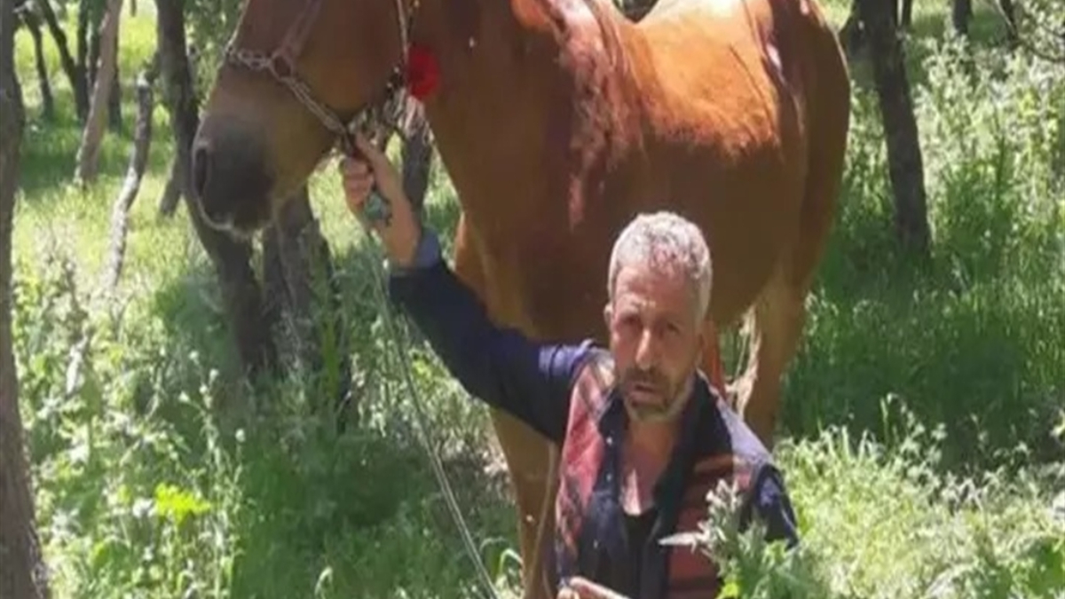 diyarbakirda babasini olduren saniga 15 yil verildi BRnOgsg8.jpg