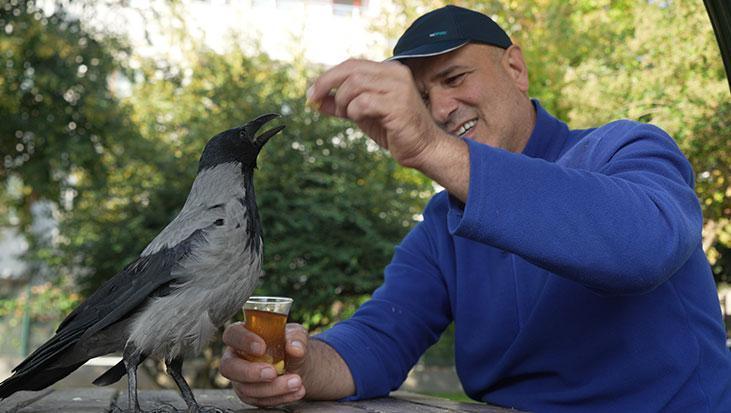 evlat gibi sevdi otobus kaptaninin 25 yildir ayrilmadigi kargasi sakir rize helvasi ve caya bayiliyor GXJITW56.jpg