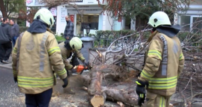 kadikoyde-seyir-halindeki-cipin-uzerine-agac-devrildi-hxzPkqEi.jpg