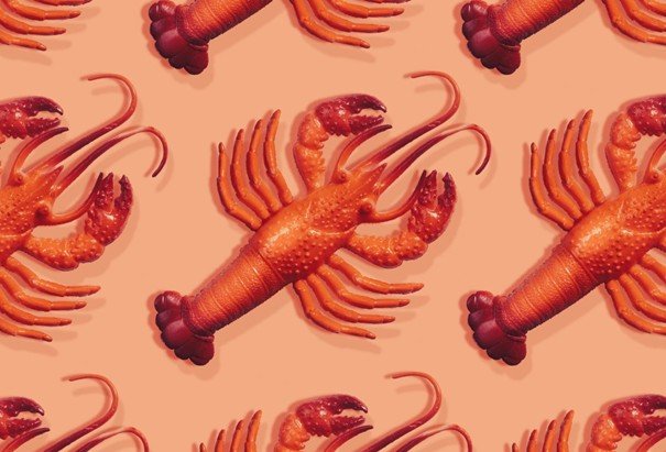 Kırmızı Istakoz Temalı AI Asistan Moltbot, Teknoloji Dünyasında Viral Oldu