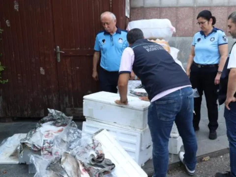 Antalya Otogarı’nda balık operasyonu: 260 kilo ele geçirildi