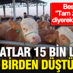 Fiyatlar 15 bin lira birden dustu besiciler tam zamani diyerek duyurdu 8UaR8dRU